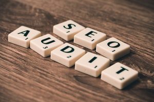 michigan seo audit